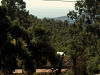 Holiday villa Spain Villa San Vincent Villa San Vincent - One of the views